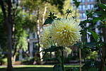 Click to see Y-XH2-BETA-DSCF0025.JPG