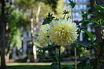 Click to see Y-XH2-BETA-DSCF0026.JPG