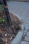 Click to see Y-XH2-BETA-DSCF0048.JPG