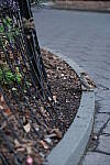 Click to see Y-XH2-BETA-DSCF0049.JPG