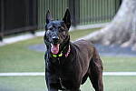 Click to see Y-XH2-BETA-DSCF0064.JPG