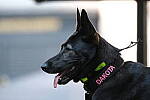 Click to see Y-XH2-BETA-DSCF0075.JPG