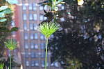 Click to see Y-XH2-BETA-DSCF0102.JPG