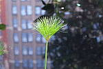 Click to see Y-XH2-BETA-DSCF0103.JPG