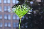 Click to see Y-XH2-BETA-DSCF0104.JPG
