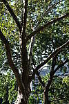 Click to see Y-XH2-BETA-DSCF0105.JPG