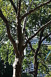 Click to see Y-XH2-BETA-DSCF0106.JPG