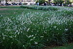 Click to see Y-XH2-BETA-DSCF0122.JPG