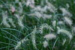 Click to see Y-XH2-BETA-DSCF0126.JPG