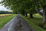 Click to see Y-JG-FUJI-X-H2S-0078-MOD.JPG