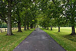 Click to see Y-JG-FUJI-X-H2S-0100-MOD.JPG