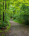 Click to see Y-JG-FUJI-X-H2S-0198-MOD.JPG