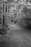 Click to see Y-JG-FUJI-X-H2S-0198.JPG
