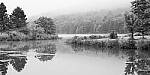 Click to see Y-JG-FUJI-X-H2S-0296-MOD.JPG