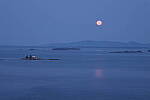 Click to see Y-JG-FUJI-X-H2S-2173.JPG