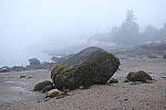 Click to see Y-JG-FUJI-X-H2S-2618.JPG