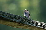Click to see Y-JG-X-H2S-XF-150-600-0841.JPG