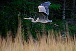 Click to see Y-JG-X-H2S-XF-150-600-1708.JPG