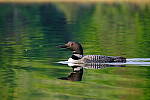 Click to see Y-JG-X-H2S-XF-150-600-2261.JPG