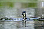Click to see Y-JG-X-H2S-XF-150-600-2367.JPG