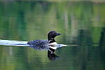 Click to see Y-JG-X-H2S-XF-150-600-2378.JPG