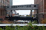 Click to see YDSCF3149_1.JPG
