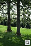 Click to see YDSCF1577.JPG