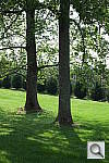 Click to see YDSCF1578.JPG