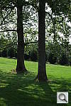 Click to see YDSCF1579.JPG