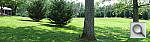 Click to see YDSCF1583.JPG