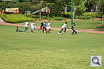 Click to see YDSCF1624.JPG
