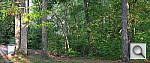 Click to see YDSCF3200.JPG