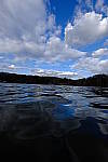Click to see Y-9783.JPG