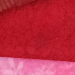 100% crop from Fujifilm X-Pro2 test image taken at ISO 1600