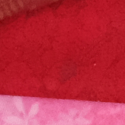 100% crop from Fujifilm X-Pro2 test image taken at ISO 3200
