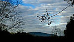 Click to see Y-DP-X0070-EDT.JPG