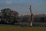 Click to see Y-DP-X0103-EDT.JPG