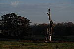Click to see Y-DP-X0103.JPG