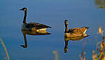 Click to see Y-DP-X0144-EDT.JPG