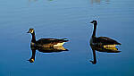 Click to see Y-DP-X0148-EDT.JPG