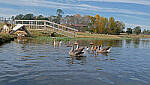 Click to see Y-DP-X0157-EDT.JPG