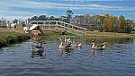 Click to see Y-DP-X0158-EDT.JPG
