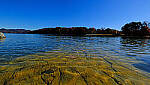 Click to see Y-DP-X9959-EDT.JPG