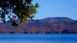 Click to see Y-DP-X9992-EDT.JPG
