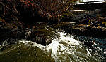 Click to see Y-DP-Y0036-EDT.JPG