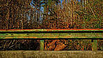 Click to see Y-DP-Y0069-EDT.JPG