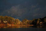 Click to see Y-DP-Y010.JPG