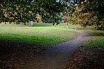 Click to see Y-WB-DSCF0031.JPG