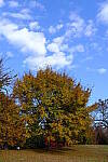 Click to see Y-WB-DSCF0048.JPG