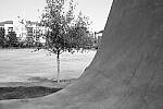Click to see Y-WB-DSCF0093.JPG